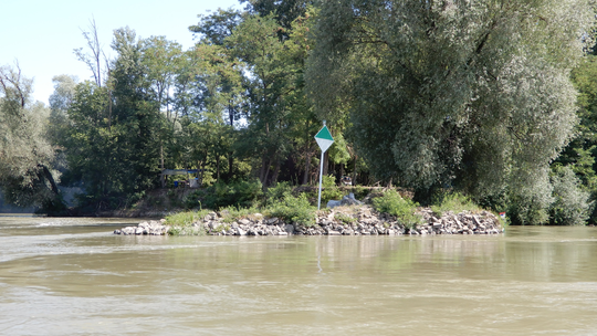 Šarengrad, ada