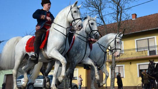 Pokladno jahanje, Sikirevci
