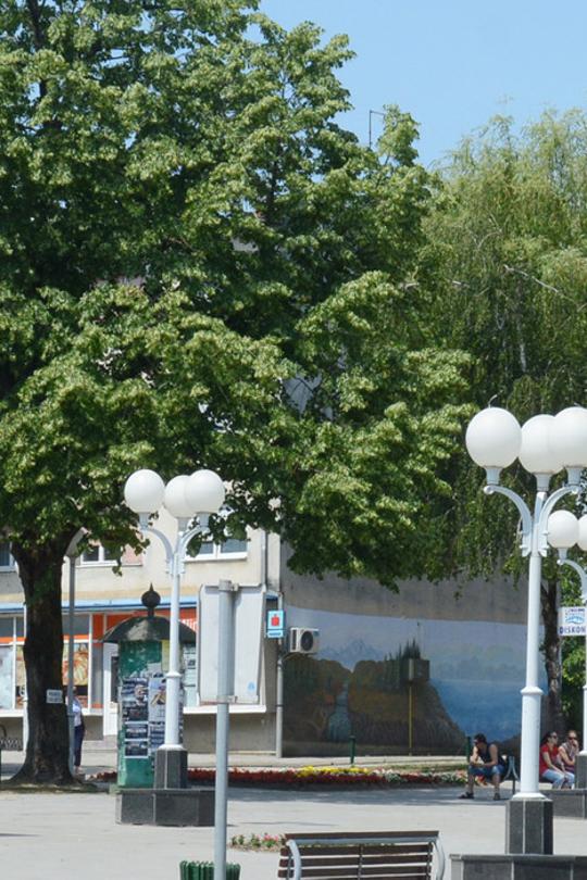 Grad Novska